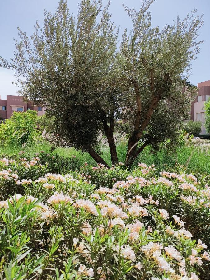 מרקש Prestigia Marrakech Dar Cheryana מראה חיצוני תמונה